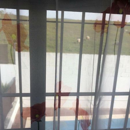 Vivienda Rural El Ejido Villa El Real de la Jara Eksteriør billede