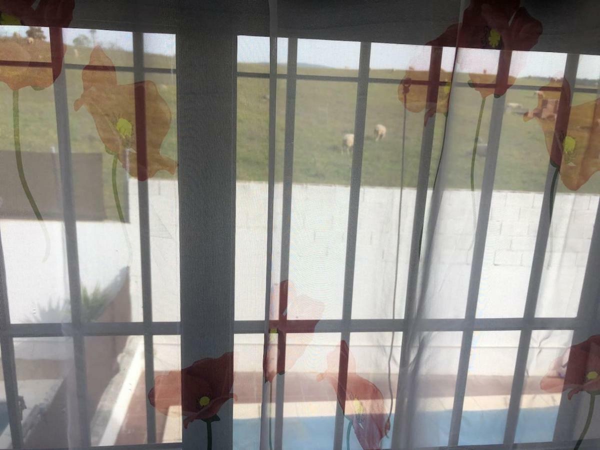 Vivienda Rural El Ejido Villa El Real de la Jara Eksteriør billede